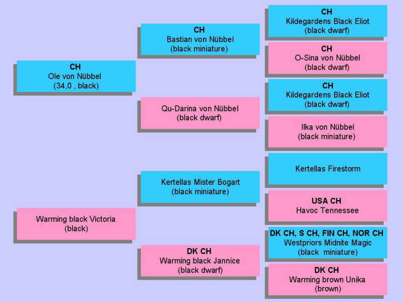 Ahnentafel Lolita
